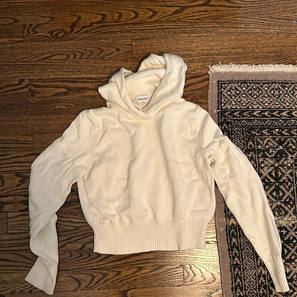 NWOT Aritzia cropped sweater hoodie
